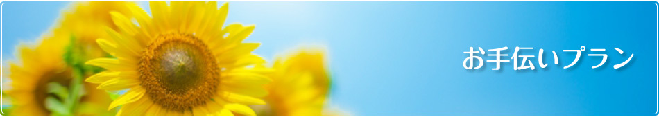 お手伝い 外出同行