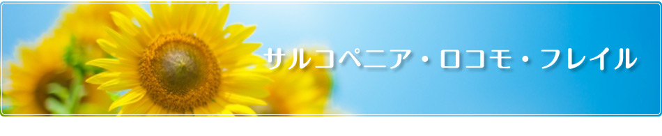 サルコペニア ロコモ フレイル